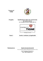 QUALIFICAZIONE COMMERCIALE CENTRO STORICO.pdf