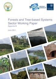 Forests and Tree-based Systems Sector Working Paper. - REMA