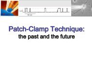 Patch Clamp