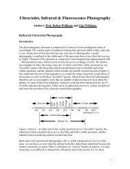 ULTRAVIOLET and INFRARED Photography Summarized - Forensic