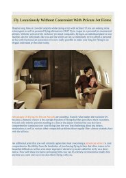 Fly Luxuriously Without Constraint With Private Jet Firms