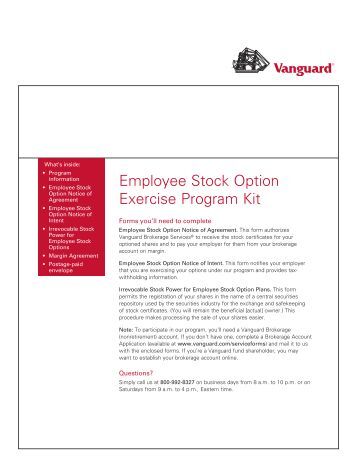 cashless stock option exercise example