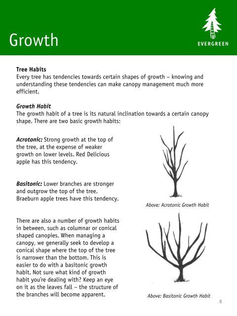 Fruit Tree Canopy Management: A Brief Guide to ... - Evergreen