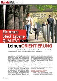 Download als PDF-Datei - TeamCanin