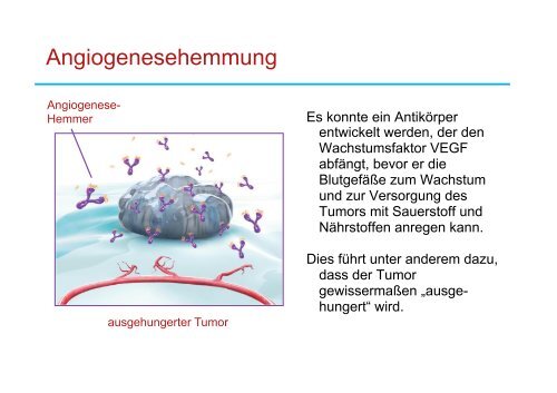 Neues zur Behandlung des Brustkrebses