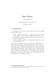 Knot Theory