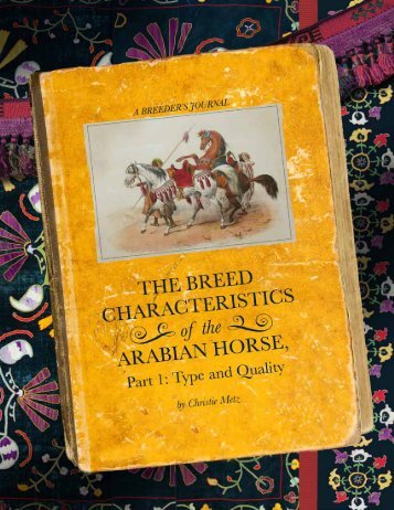 The Breed Characteristics of the Arabian Horse