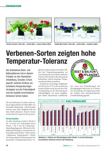 Verbenen-Sorten zeigten hohe Temperatur-Toleranz