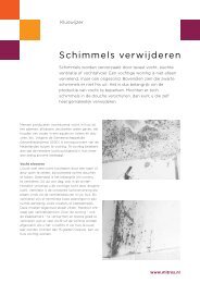 Schimmels verwijderen - Mitros