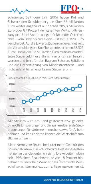 Das freiheitliche Steuer- und Entlastungsmodell