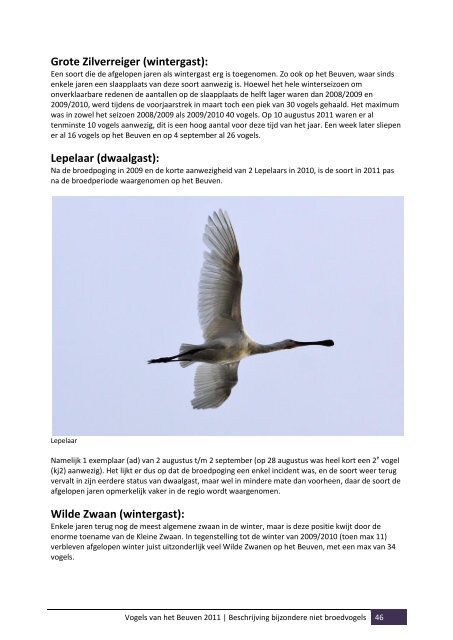 Broedvogels Strabrechtse Heide 2011 - SOVON Vogelonderzoek ...