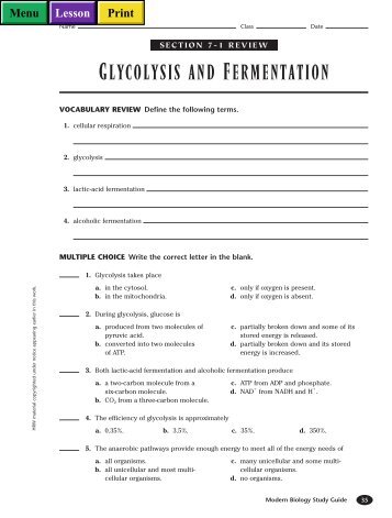 GLYCOLYSIS AND FERMENTATION