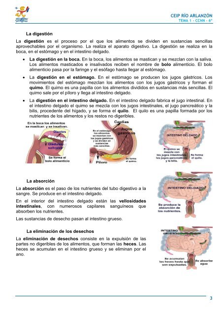 APUNTES DE 6º