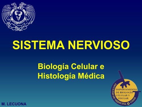 snc_2010_11