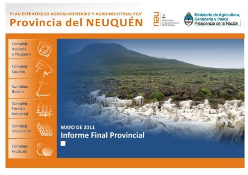 Informe PEA2 NeuquÃ©n.pdf [5.381KB] - Gobierno de la Provincia de ...