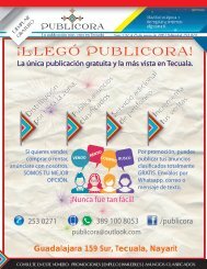 Revista Publicora