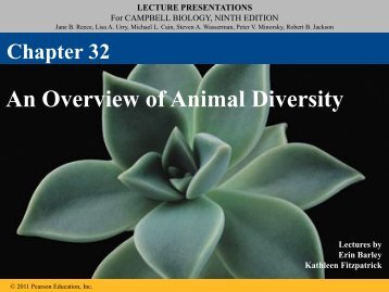 An Overview of Animal Diversity - Lake Central High School