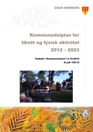 Kommunedelplan for idrett og fysisk aktivitet 2012 - Gran kommune
