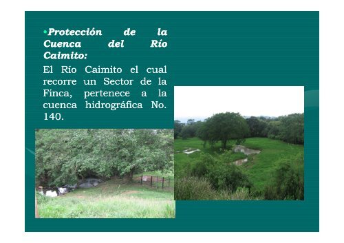 FINCA AVÃCOLA TARA - (JurÃ­dicos, Financieros e IngenierÃ­a, S.A.