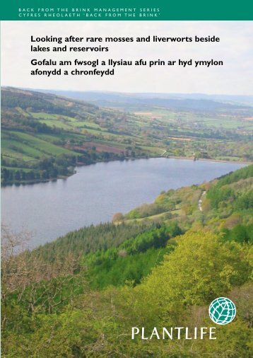 general characteristics of bryophytes pdf