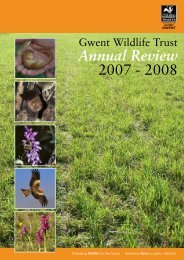 GWT Annual review 07 08.pdf - Gwent Wildlife Trust