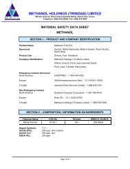 methanol holdings (trinidad) limited - Colonial Chemical Solutions