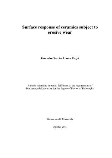 Surface response of ceramics subject to erosive wear