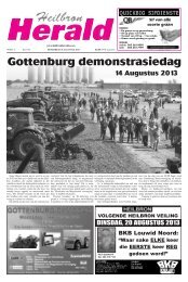 Gottenburg demonstrasiedag - heilbronherald.co.za