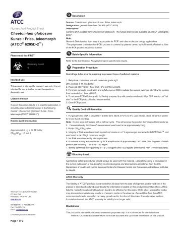 Chaetomium globosum Kunze : Fries, teleomorph (ATCC 6205D­2 )