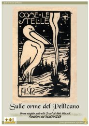 Sulle orme del Pellicano