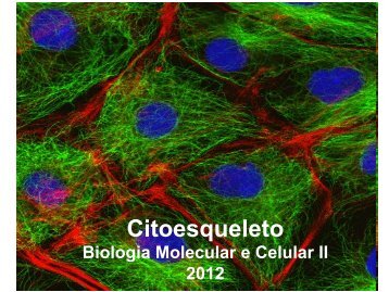Citoesqueleto - Laboratório de Biologia - IFSC