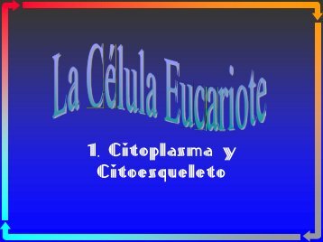 1. Citoplasma y Citoesqueleto - Docencia UAM-I