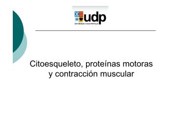 Citoesqueleto, proteÃ­nas motoras y contracciÃ³n muscular