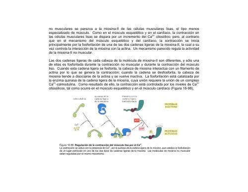 mecanismo de contracción - CFE