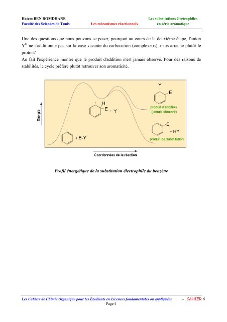 introduction - Orgapolym