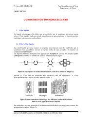 L'ORGANISATION SUPRAMOLECULAIRE - Orgapolym