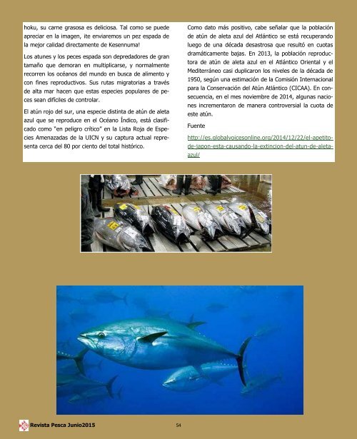 REVISTA PESCA JUNIO 2015