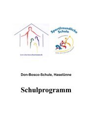 Schulprogramm der Don-Bosco-Schule, Haselünne - nibis