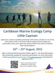 Caribbean Marine Ecology Camp in Little Cayman