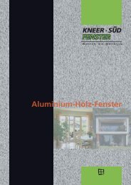 aluminium_holz_fenster