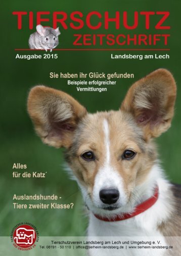 Tierheim Landsberg Zeitung 2015