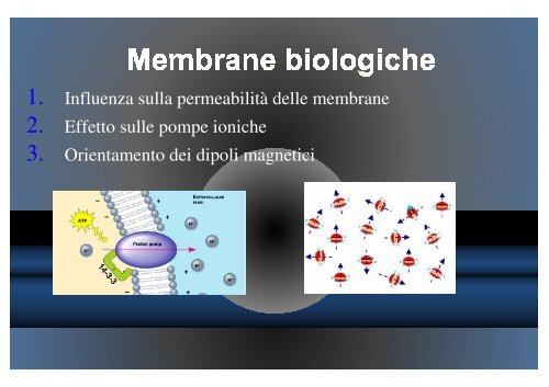 La magnetoterapia ed i campi magnetici pulsati