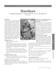 Hawthorn - American Botanical Council