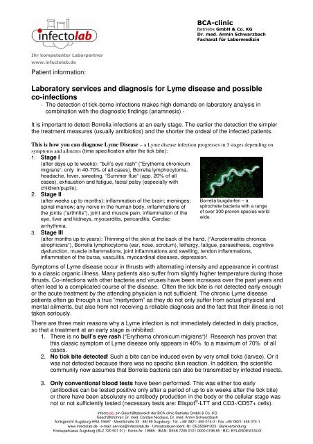 6b Infectolab Borreliose Labor und Diagnostik engl ... - BCA-clinic