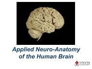 Applied Neuro Anatomy of the Human Brain - TriStar Health