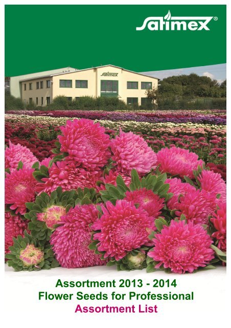 250 Yellow GOLDEN AGERATUM Lonas Inodora Flower Seeds