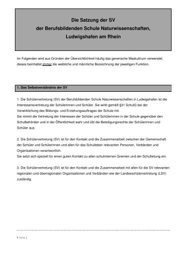 Satzung der SV - Berufsbildende Schule Naturwissenschaften ...