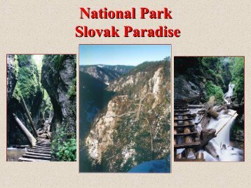 National park Slovak Paradise - FUTUREforest