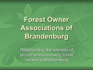 Forest owner associations, Brandenburg - FUTUREforest