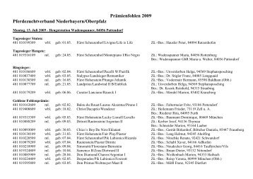 Prämienfohlen 2009 Pferdezuchtverband Niederbayern/Oberpfalz